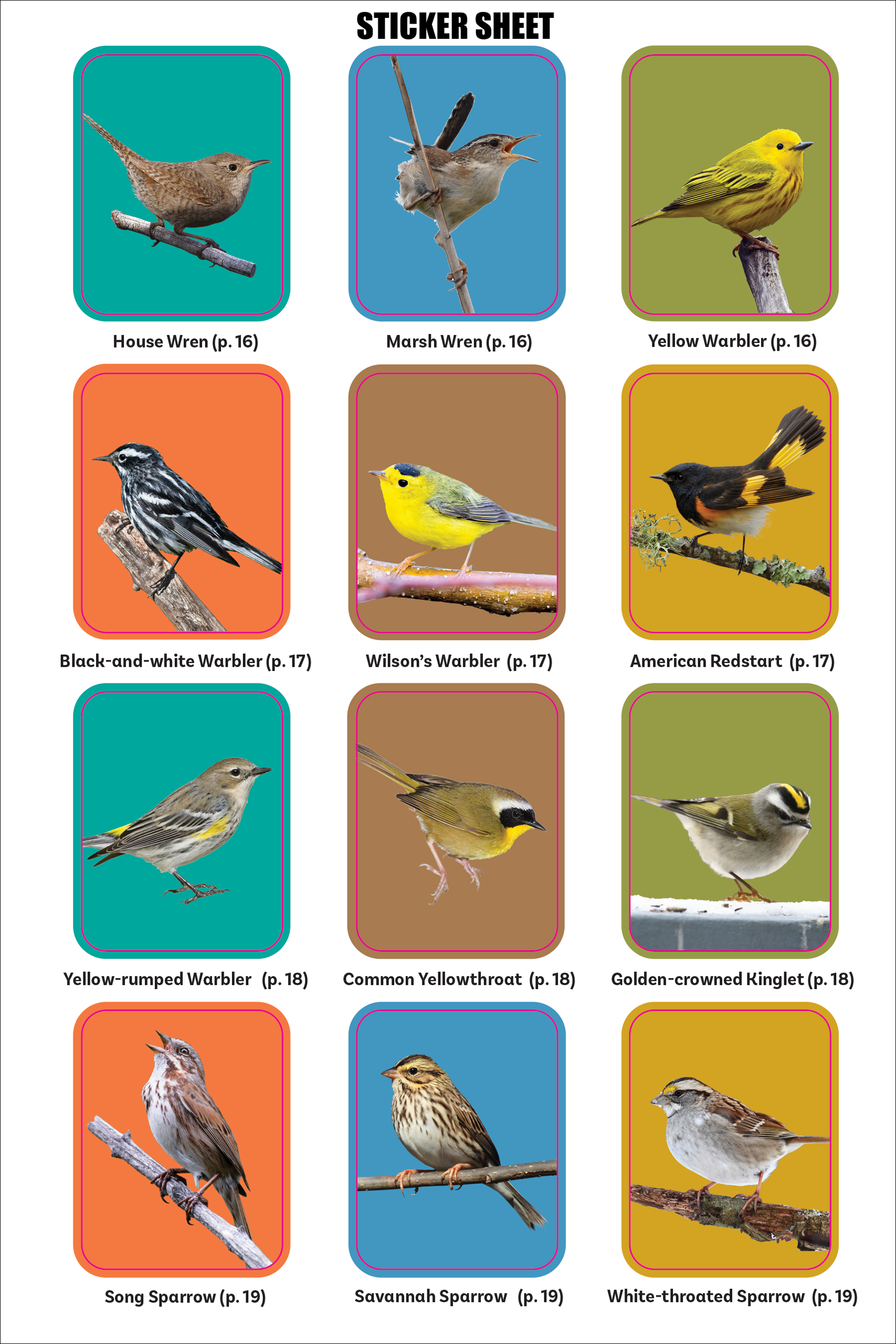 The Birder's Logbook: A Seek-and-Sticker Book for Budding Ornithologists