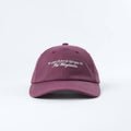 The Wingleader 📚 Bookish Baseball Hat