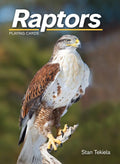 Raptors Playing Cards (Nature's Wild Cards) cover image