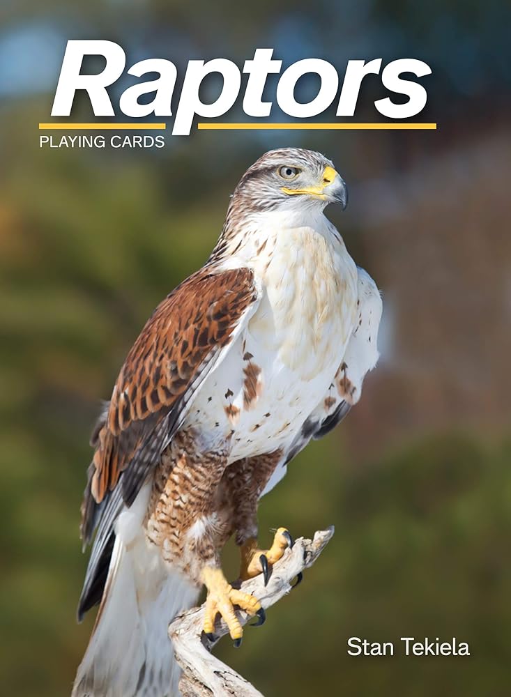 Raptors Playing Cards (Nature's Wild Cards) cover image