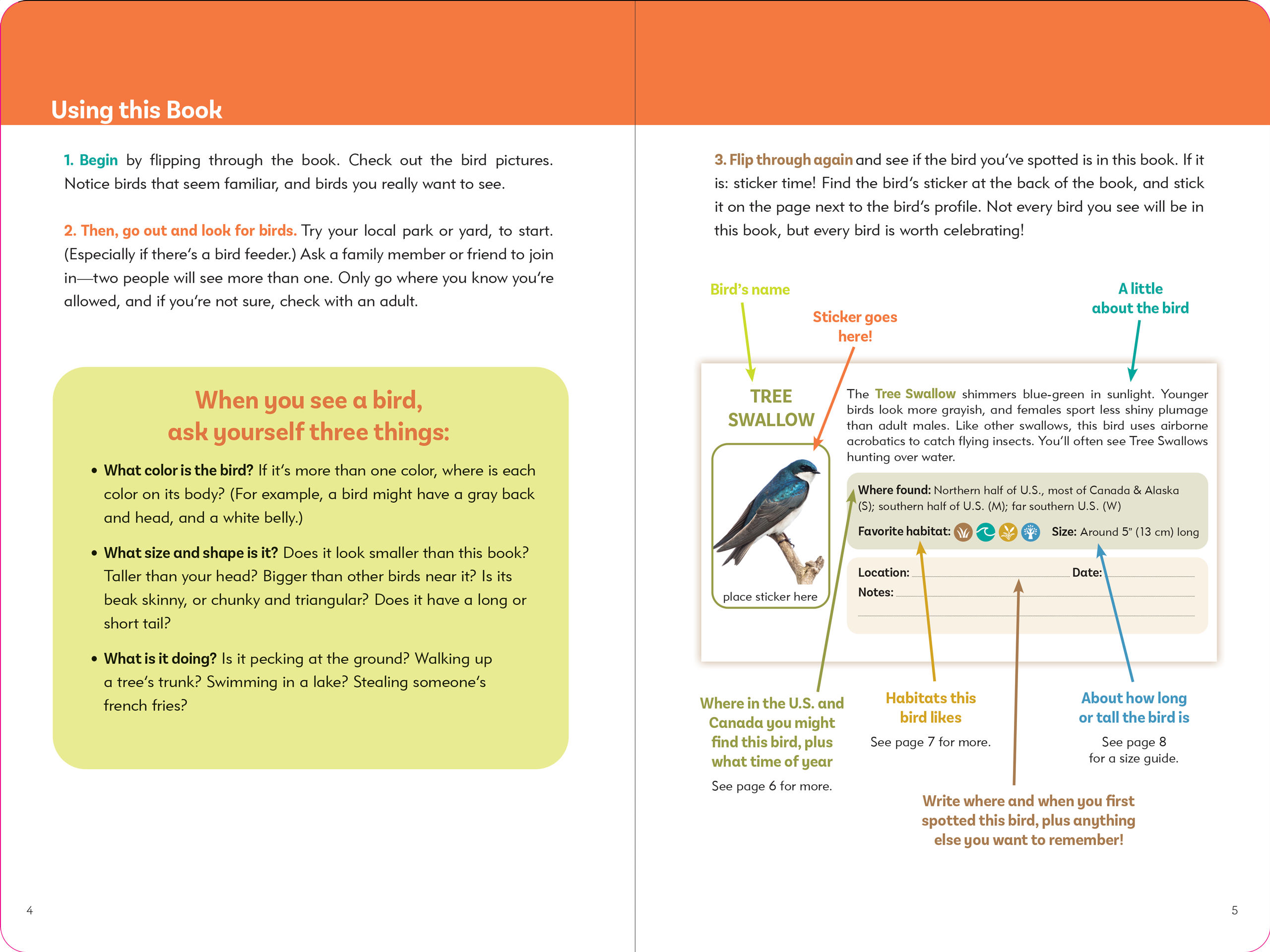 The Birder's Logbook: A Seek-and-Sticker Book for Budding Ornithologists