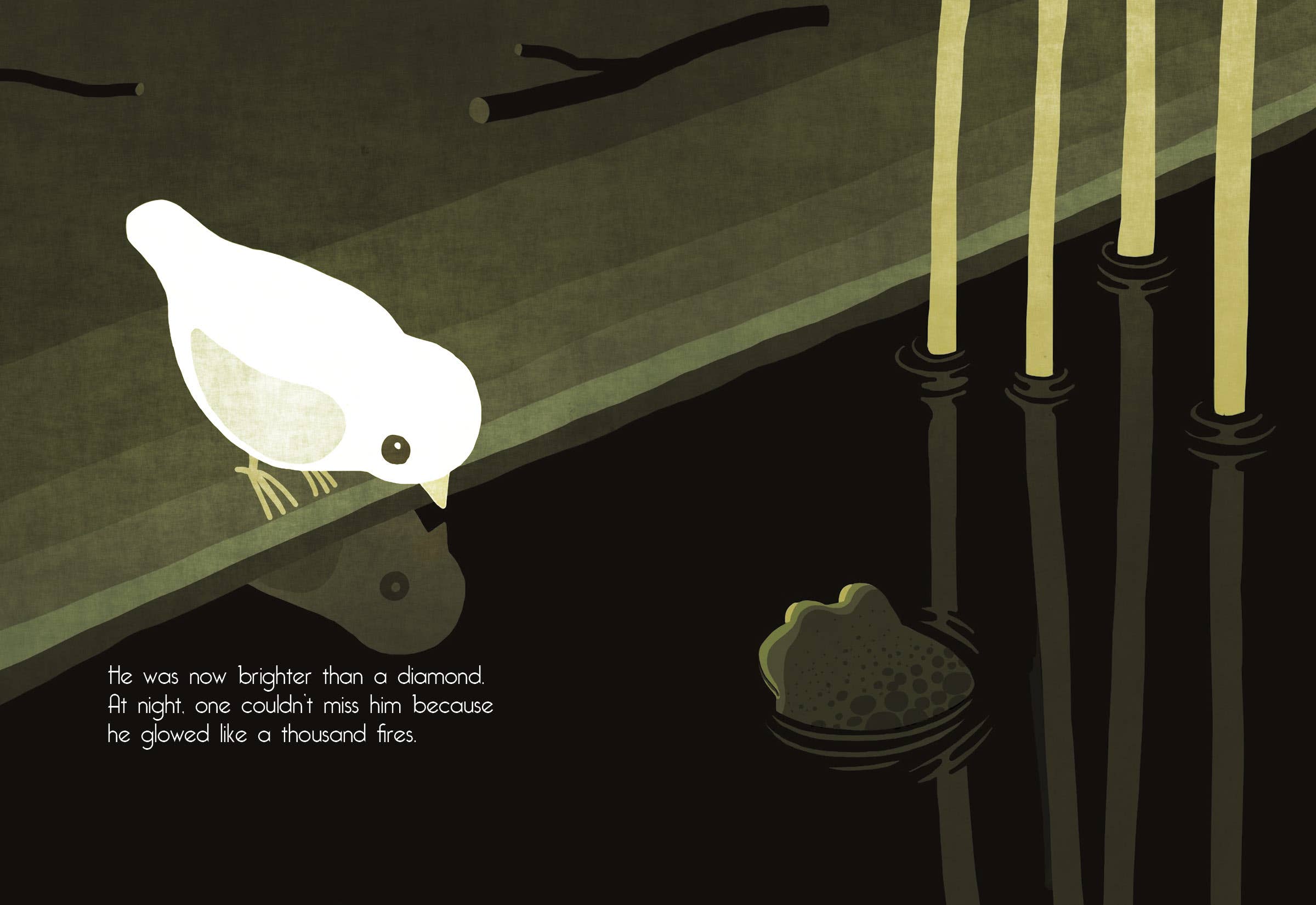 The Bird Who Swallowed a Star,  Laurie Cohen