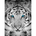 Silver Tiger Diamond Painting Kit: 01 Multi