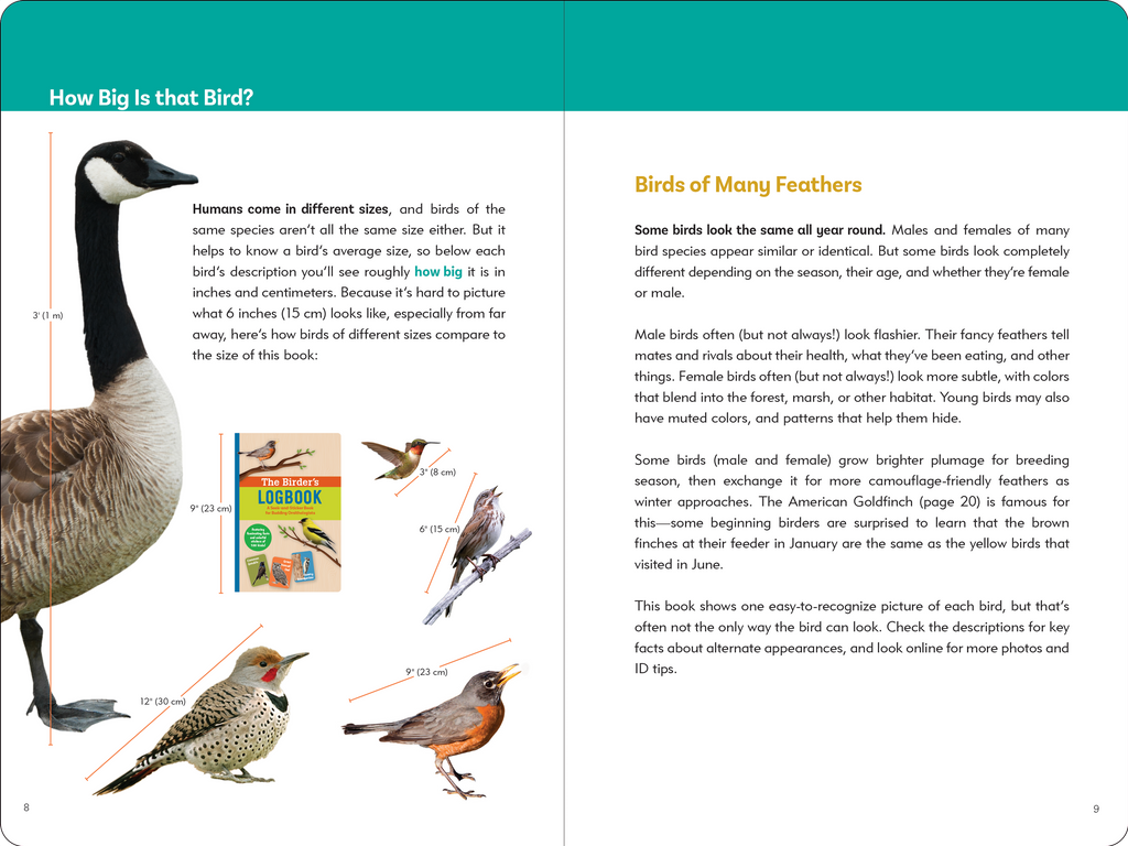 The Birder's Logbook: A Seek-and-Sticker Book for Budding Ornithologists