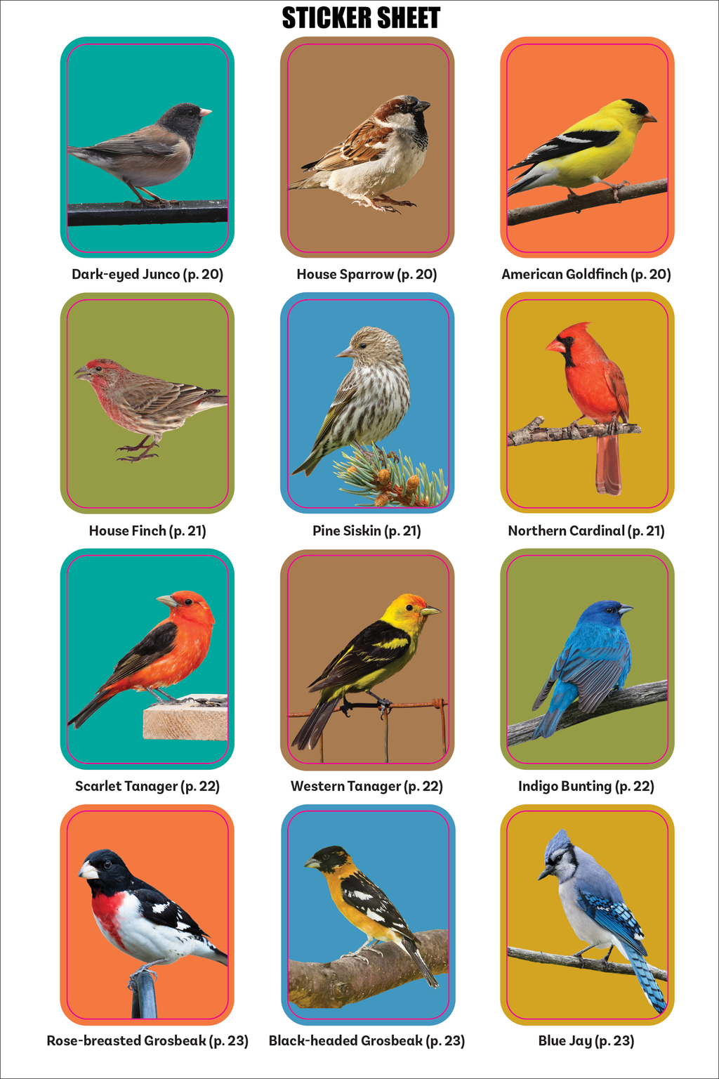 The Birder's Logbook: A Seek-and-Sticker Book for Budding Ornithologists