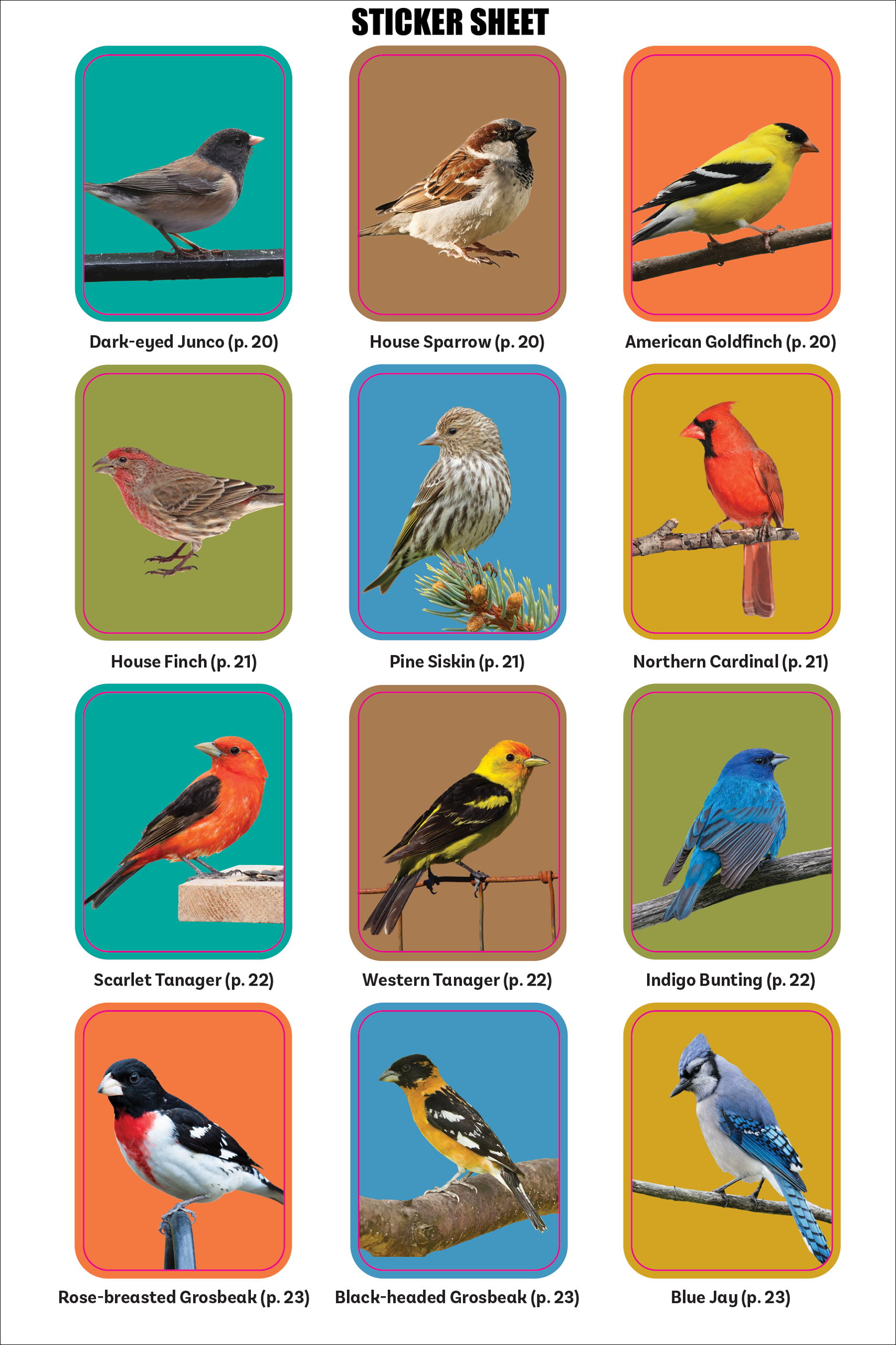 The Birder's Logbook: A Seek-and-Sticker Book for Budding Ornithologists