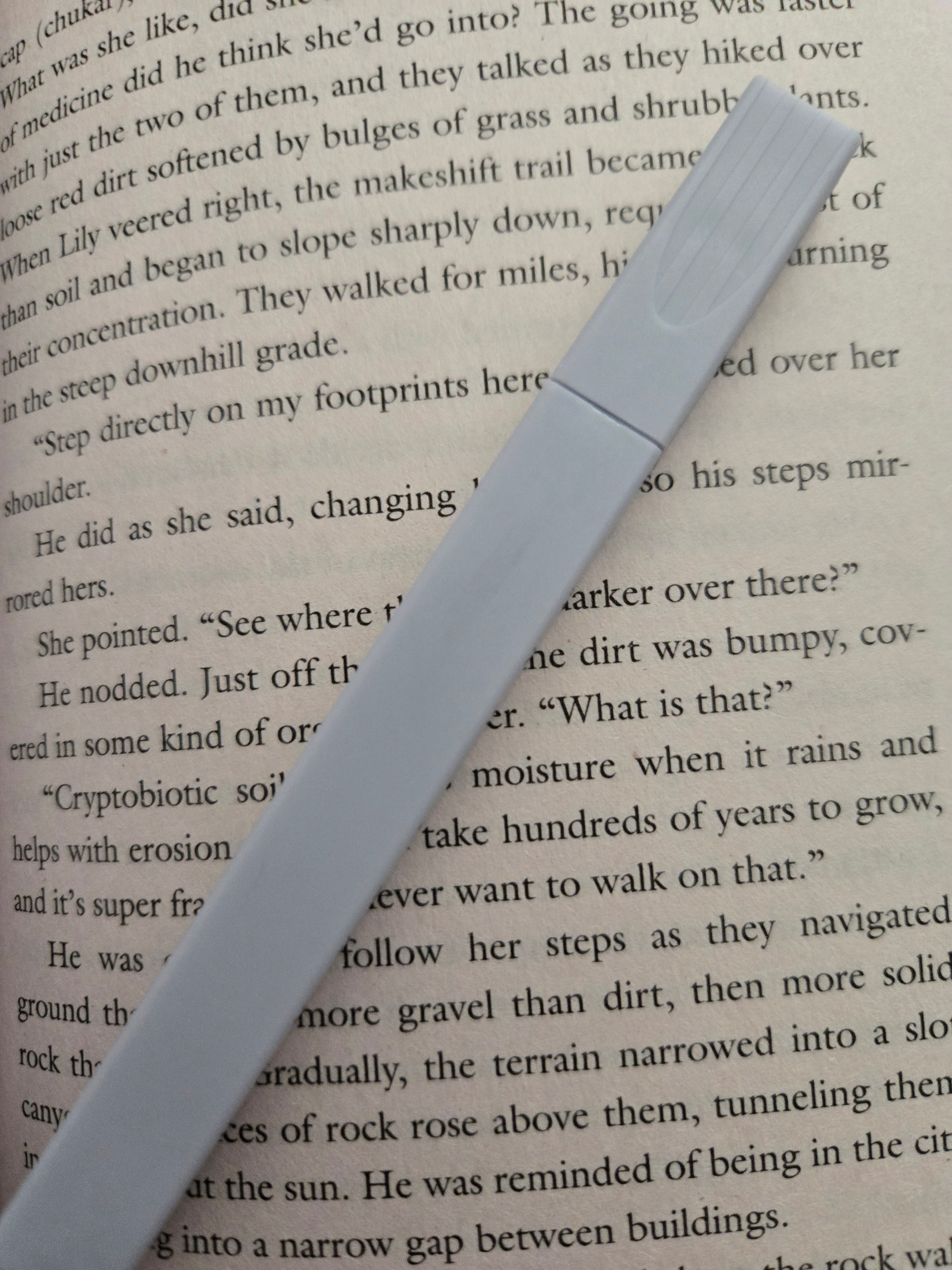 Highlighter -Dark Blue