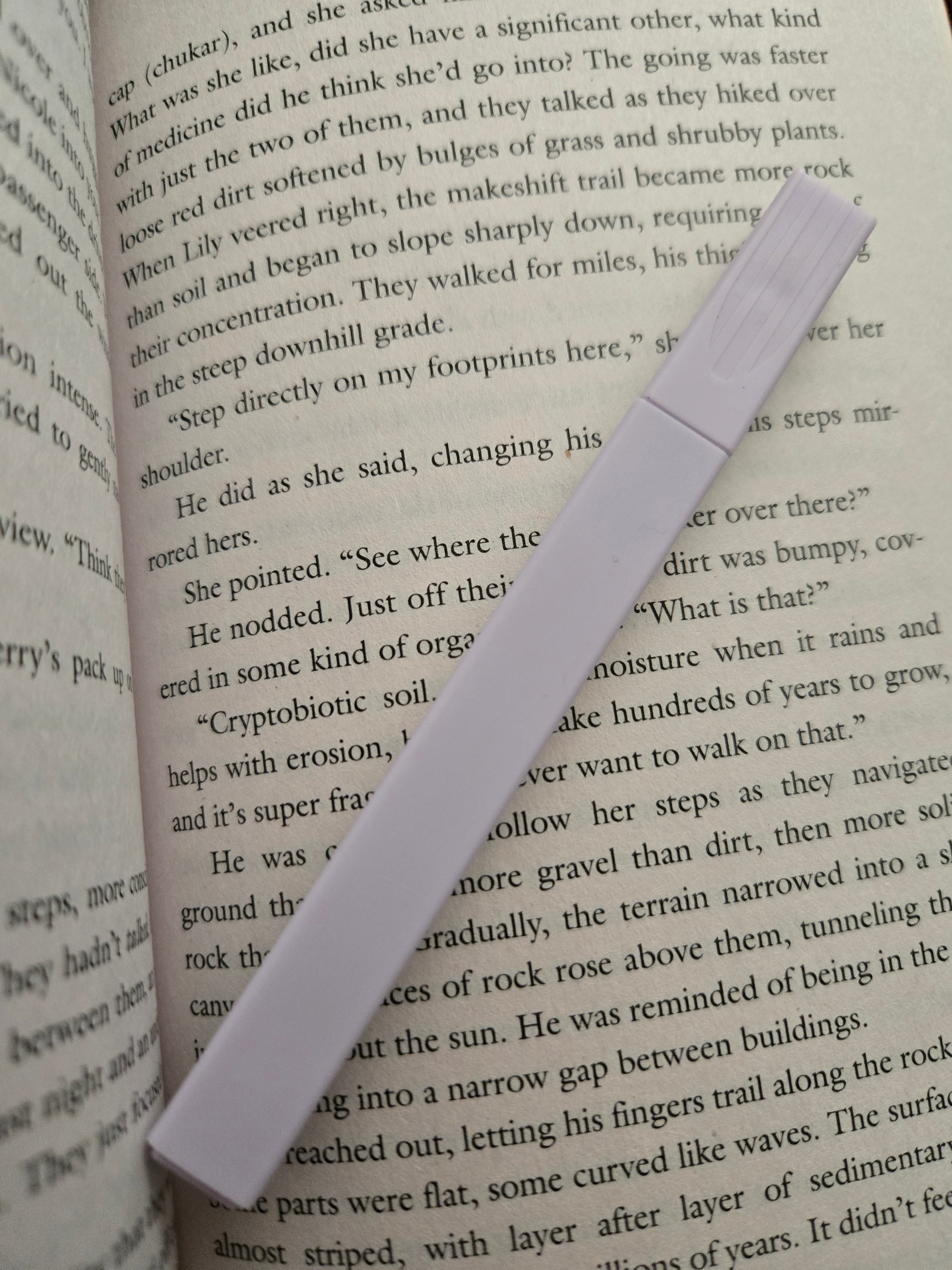 Highlighter- Dark Purple