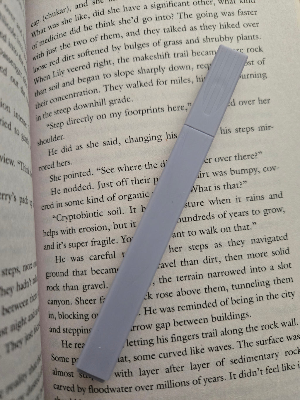 Highlighter- Light Blue