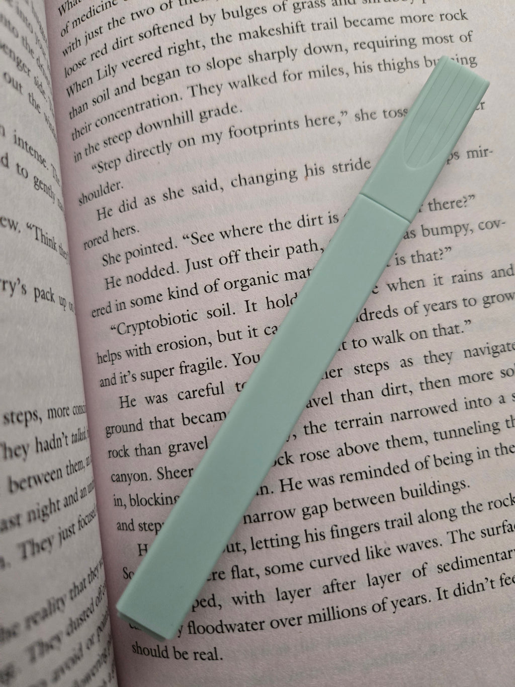Highlighter- Olive