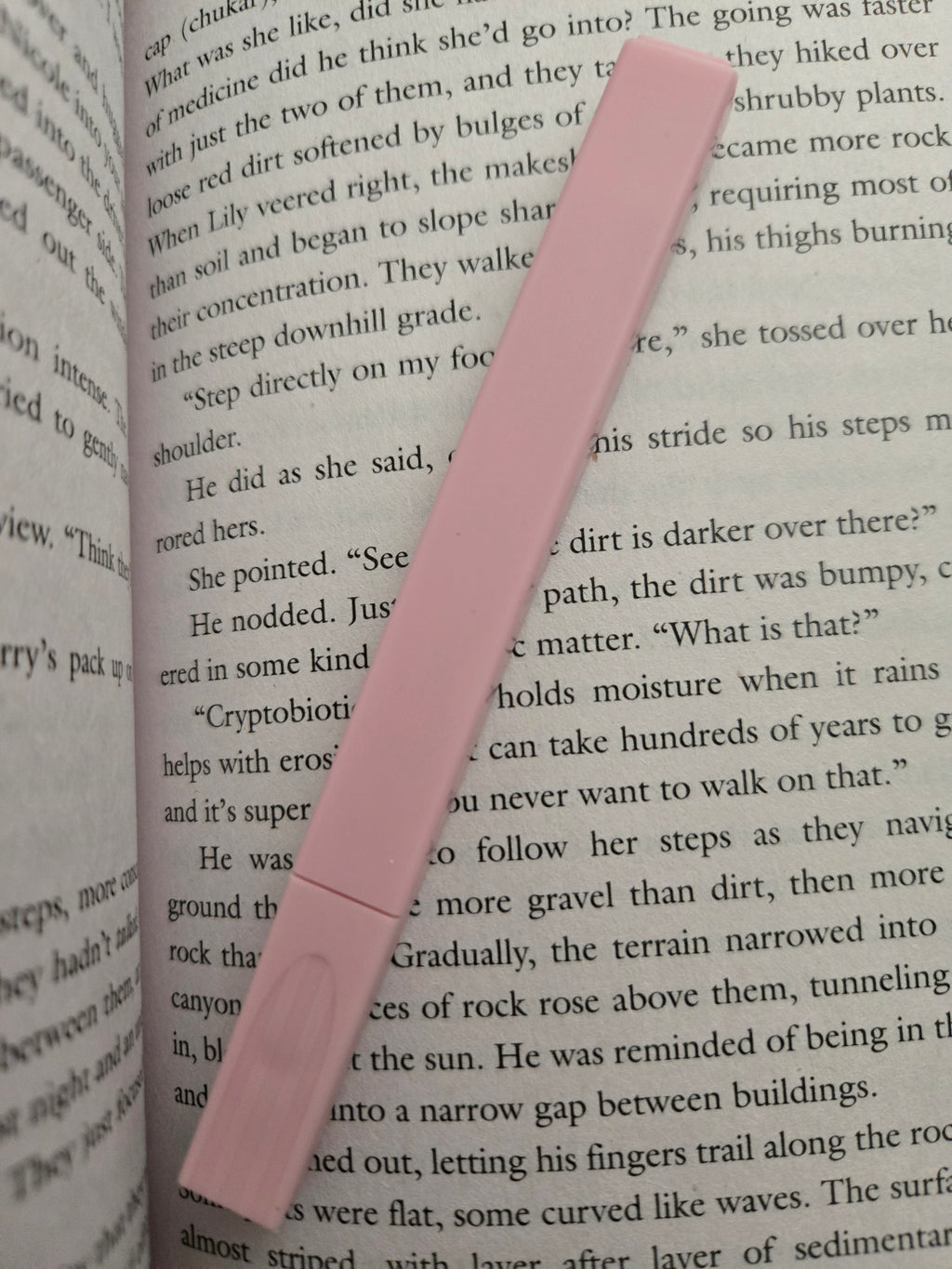 Highlighter- Pink