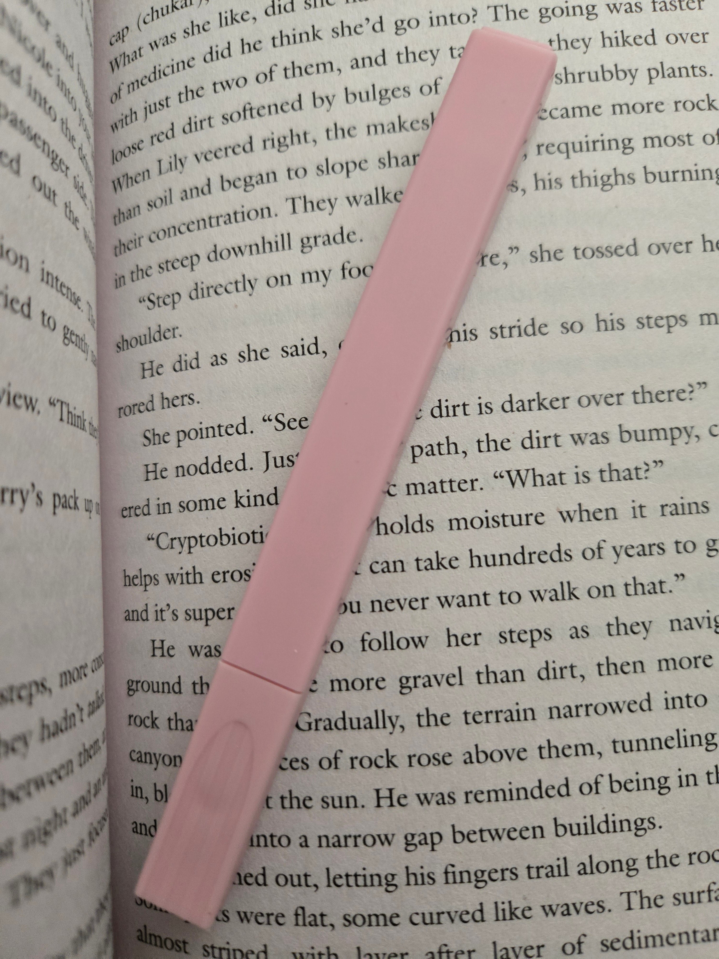 Highlighter- Pink