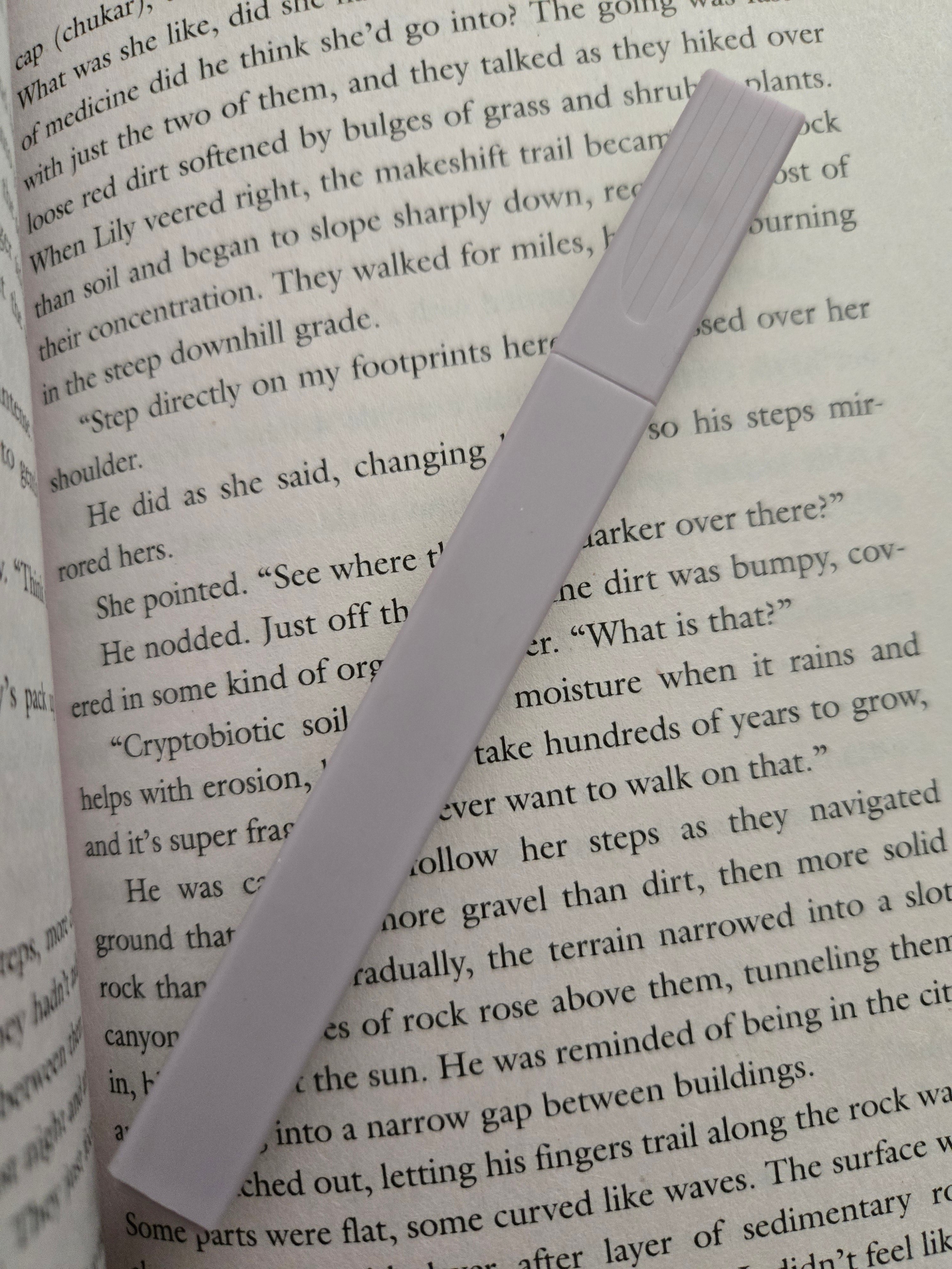 Highlighter- Dark Purple