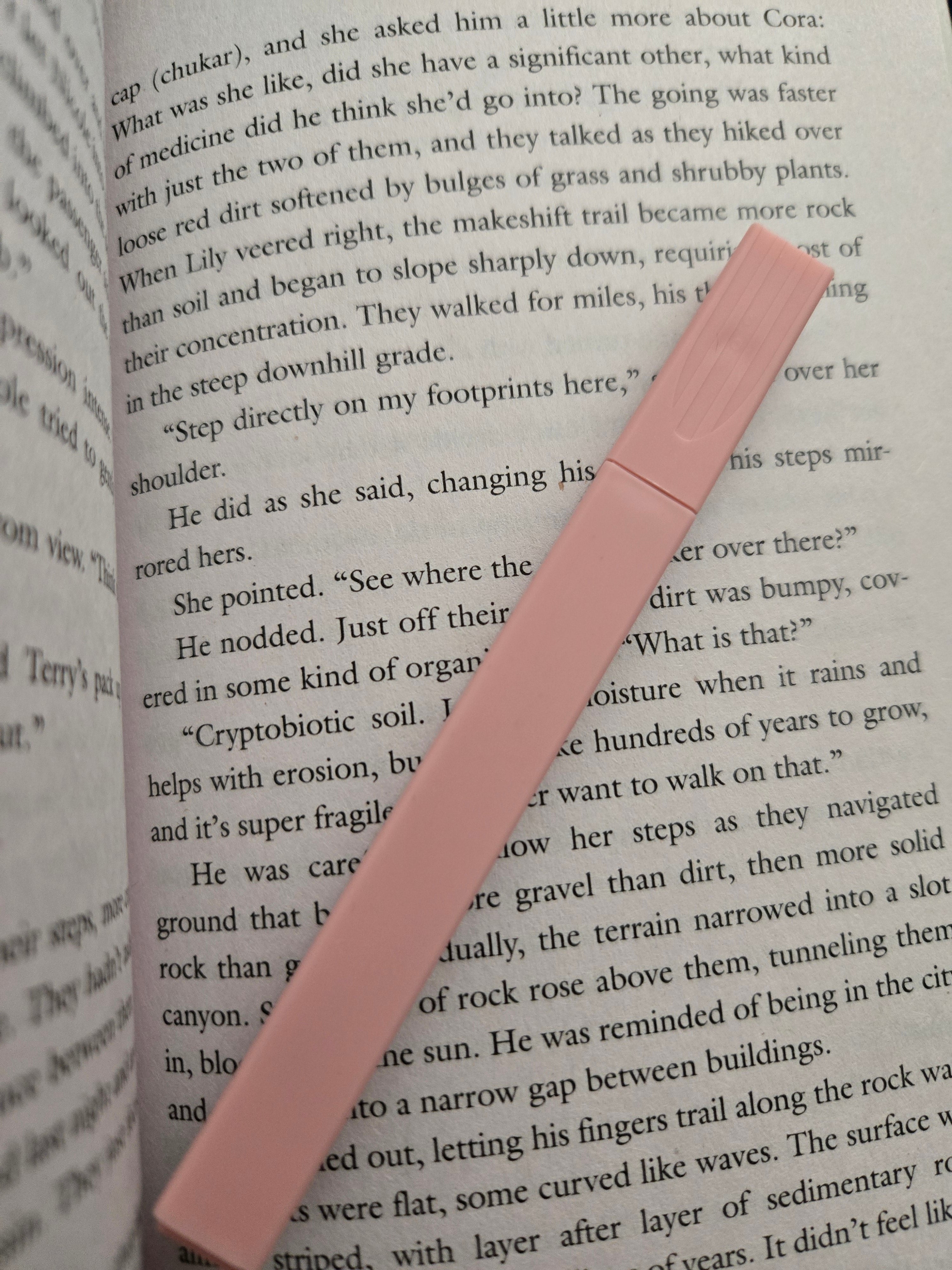 Highlighter- Peach